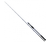 Daiwa Exceler Oceano 198cm MAX250 Olta Kamışı (EXOJG662XHBAF)