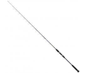 Daiwa Exceler Oceano 186cm 60-120 Olta Kamışı (EXOJG632MHSAF)