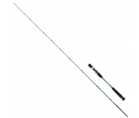 Daiwa Grandwave 199cm MAX 180gr Olta Kamışı (GWSJ66HBAF)