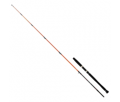 Daiwa Megaforce 1.70m 90-210gr 2p Jig Olta Kamışı (MFJG170HSBF)